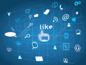 网络信息安全软件开发 社会网络通信时代的守护者